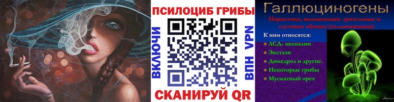 Галлюциногенные грибы мухоморы  где купить наркоту  Руза 